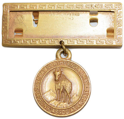 GREAT NORTHERN SURGEONS ASSOCIATION BADGE