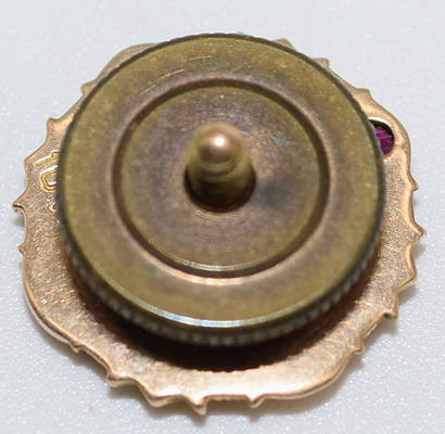 NORTHERN PACIFIC PIN
