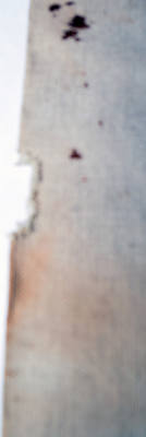 WESTERN PACIFIC MAIL BAG