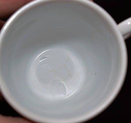 AT&SF CALIFORNIA POPPY CUP & SAUCER