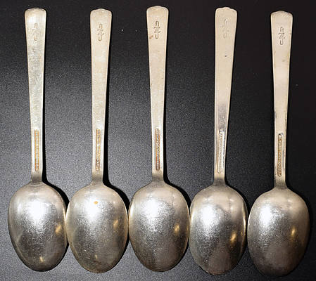 CZ TEASPOONS