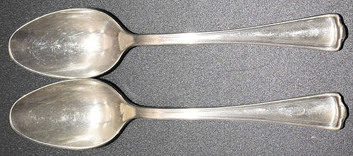 SANTA FE SPOONS