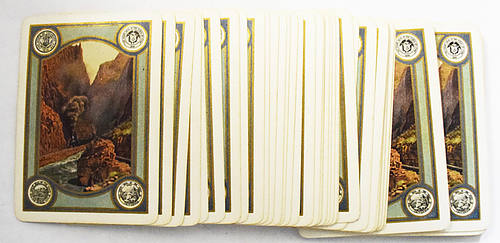 D&RGW & CARDS