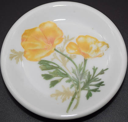 AT&SF CALIFORNIA POPPY BUTTER PAT