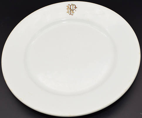 NP STAMPEDE DINNER PLATE