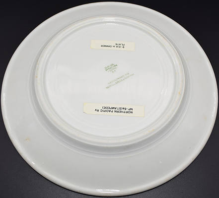 NP STAMPEDE DINNER PLATE
