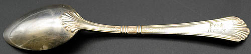 FRED HARVEY DEMI SPOON