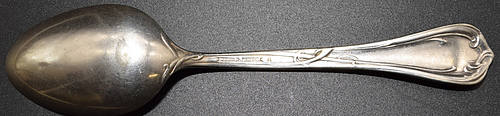SALT LAKE ROUTE TEASPOON