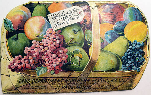 NORTHERN PACIFIC BROCHURE