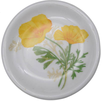 AT&SF CALIFORNIA POPPY BUTTER PAT