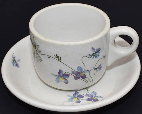 CB&Q VIOLETS & DAISES CUP & SAUCER