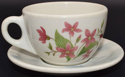 GN MOUNTAINS & FLOWERS CUP & SAUCER