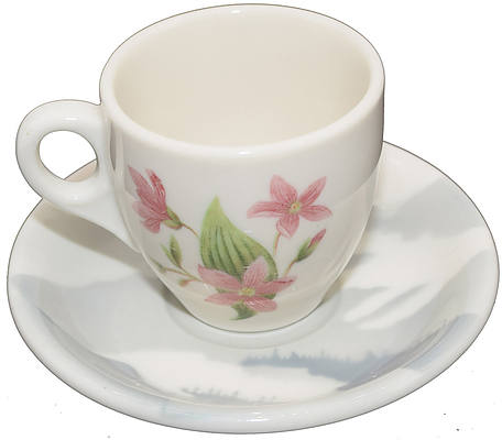 GREAT NORTHERN MOUNTAINS & FLOWERS DEMITASSE