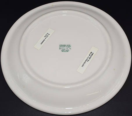CMSTP&P TRAVELER DINNER PLATE