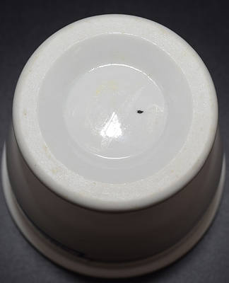 DSS&A SOUTH SHORE EGG CUP