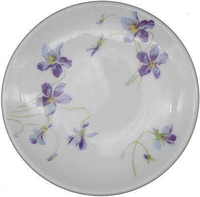 CB&Q VIOLETS & DAISIES BUTTER PAT