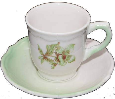 UP DESERT FLOWER DEMI SET