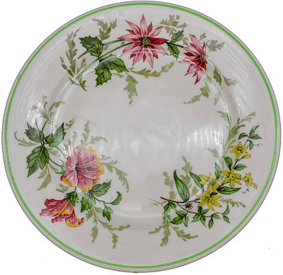 ACL FLORA OF THE SOUTH PLATE