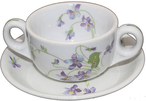 CB&Q VIOLETS & DAISIES CUP & SAUCER