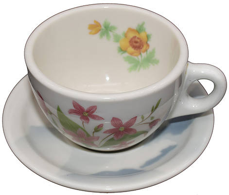 GN MOUNTAINS & FLOWERS COFFEE CUP & SAUCER