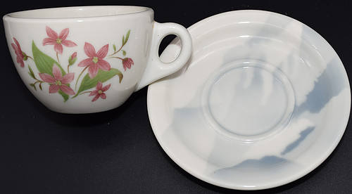 GN MOUNTAINS & FLOWERS COFFEE CUP & SAUCER