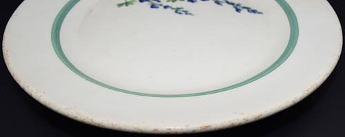 MKT BLUE BONNET DINNER PLATE