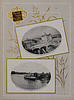 Lot 542