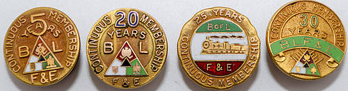 B OF LF&E PINS