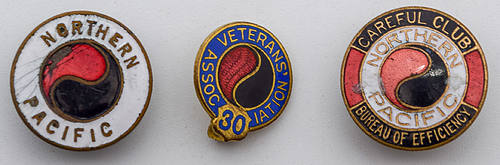 NORTHERN PACIFIC PINS