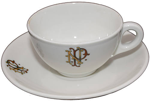 NP STAMPEDE CUP & SAUCER