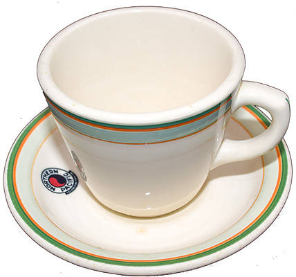 NP YELLOWSTONE CUP & SAUCER