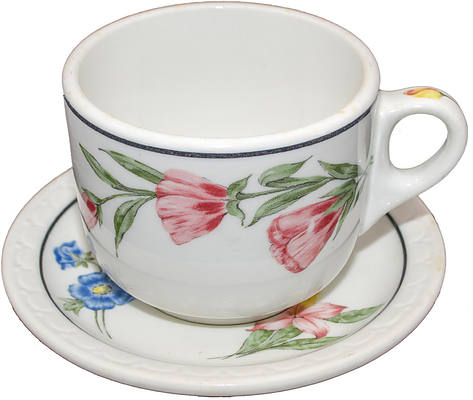 SP PRAIRIE MTN WILDFLOWER CUP & SAUCER