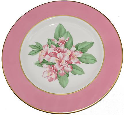 C&O GREENBRIER PLATE