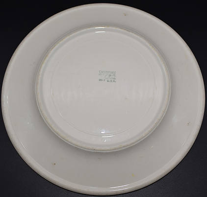 IC PIRATE PLATE