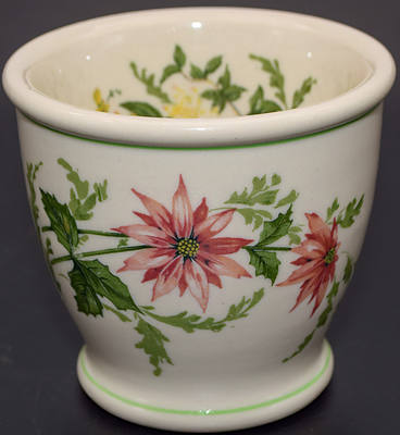 ACL FLORA OF THE SOUTH DOUBLE EGG CUP