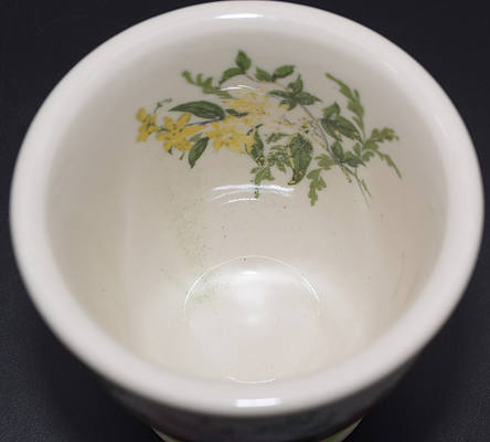 ACL FLORA OF THE SOUTH DOUBLE EGG CUP