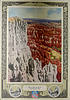 Lot 559
