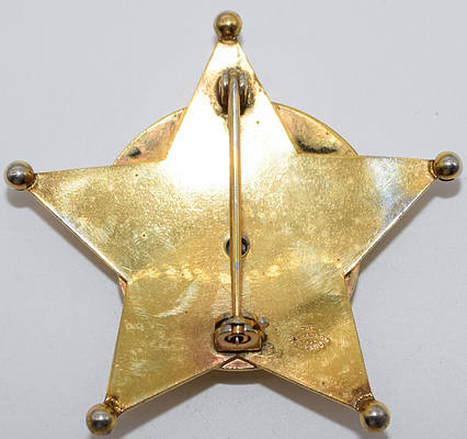 C&NWRY CO POLICE BADGE