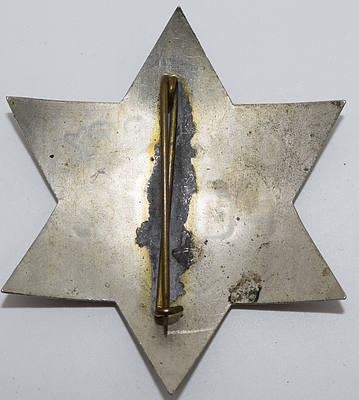 CRI&PRY SPECIAL POLICE 53 BADGE