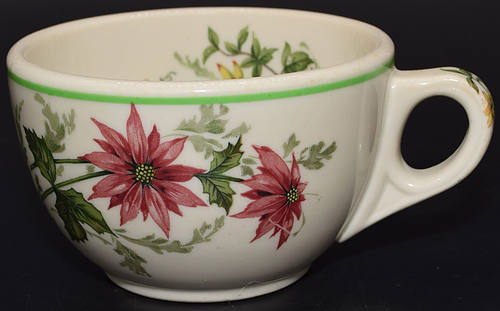 ACL FLORA OF THE SOUTH CUP