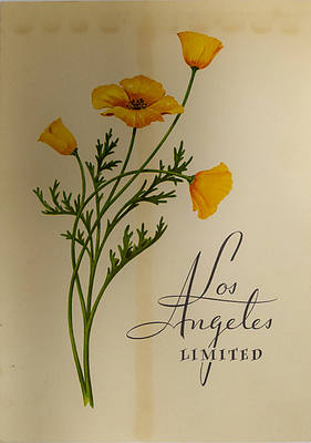 UNION PACIFIC MENU