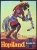 View lot 22 SANTA FE POSTER