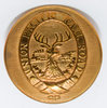 View lot 110 UNION PACIFIC RAILROAD BUTTON