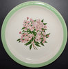 PRR MOUNTAIN LAUREL PLATE