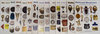RAILROAD MEMORIES CATALOGS