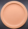 SP DAYLIGHT PLATE