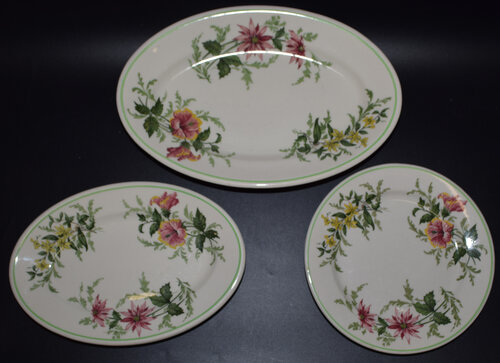 ACL FLORA OF THE SOUTH PLATES