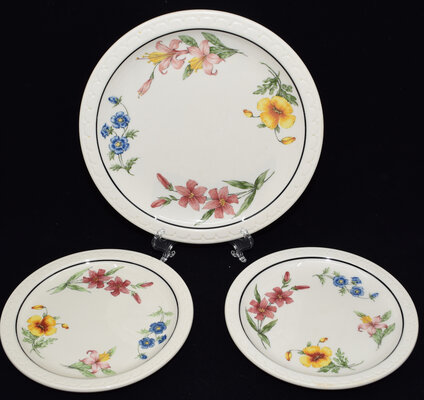 SP PRAIRIE MTN WILDFLOWER PLATES