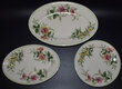 View lot 170 ACL FLORA OF THE SOUTH PLATES