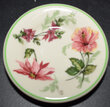 View lot 171 ACL FLORA OF THE SOUTH BUTTER PAT